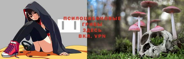 эйфоретик Ладушкин