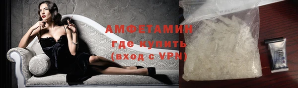 дмт Тайга