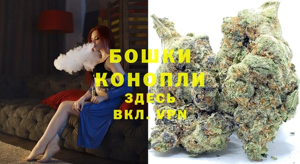 PSILOCYBIN Лихославль