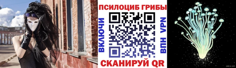 Галлюциногенные грибы мицелий  Сосновоборск 