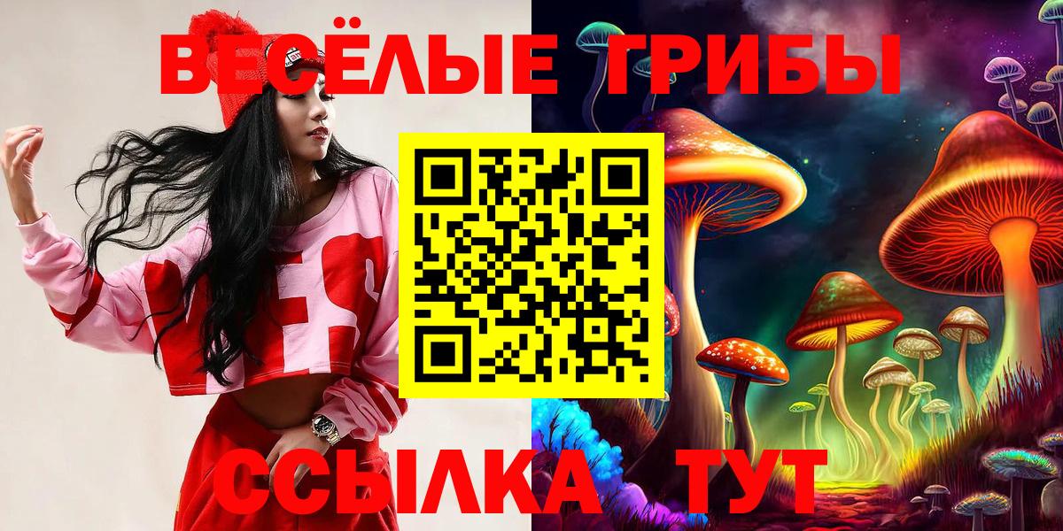Псилоцибиновые грибы MAGIC MUSHROOMS  Галлюциногенные грибы MAGIC MUSHROOMS  Сосновоборск 