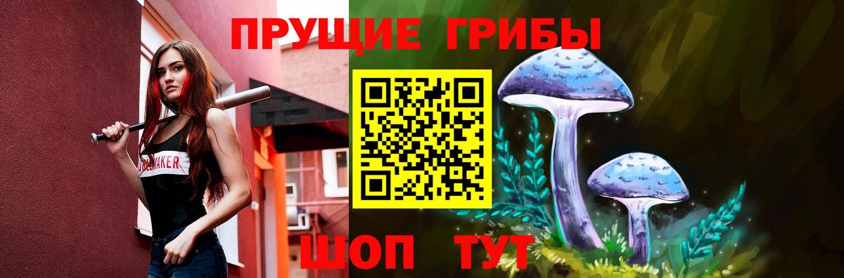 Галлюциногенные грибы GOLDEN TEACHER Сосновоборск