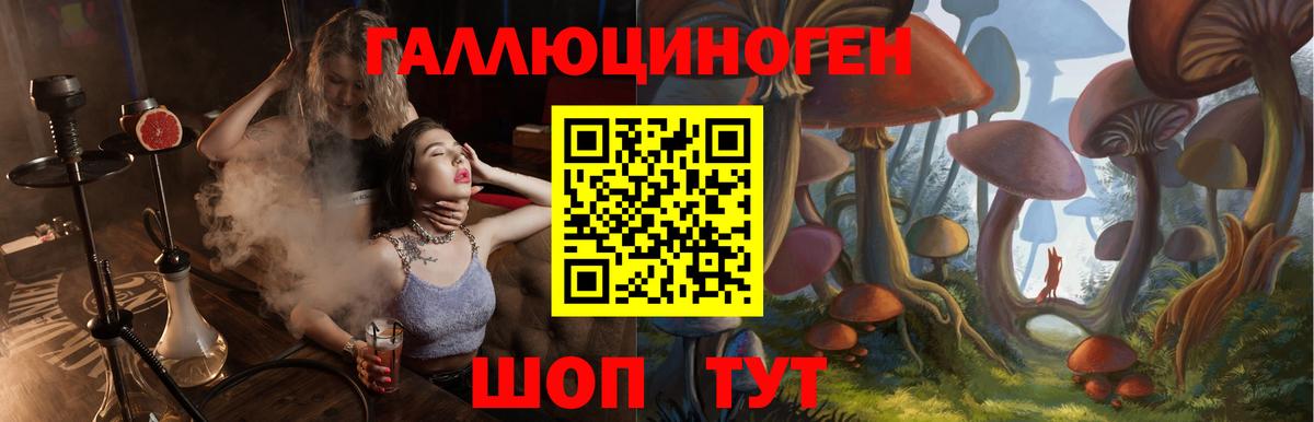 Псилоцибиновые грибы Psilocybine cubensis Сосновоборск