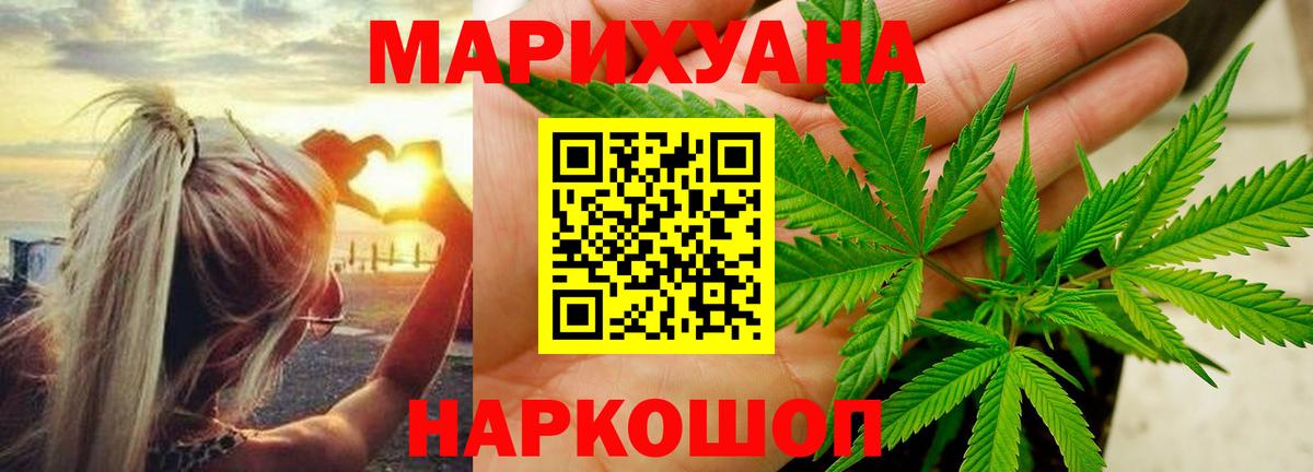 Бошки марихуана ГИДРОПОН  Вход с VPN  МАРИХУАНА план  Бошки марихуана Bruce Banner  Каннабис планчик  Сосновоборск 